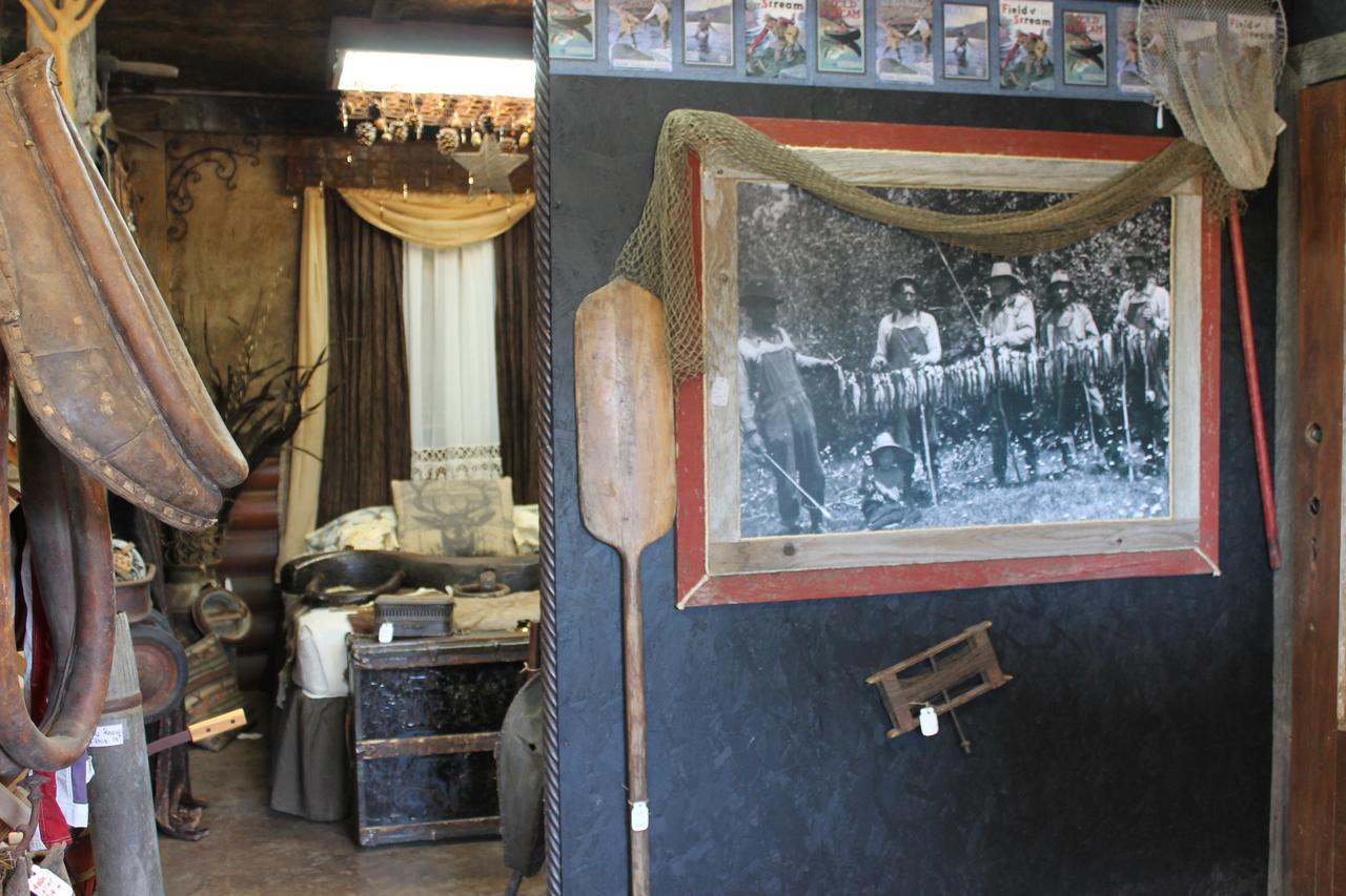 Black Bear Motel Davenport Luaran gambar
